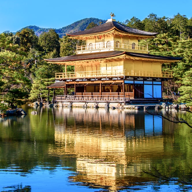 旅行商品イメージ5