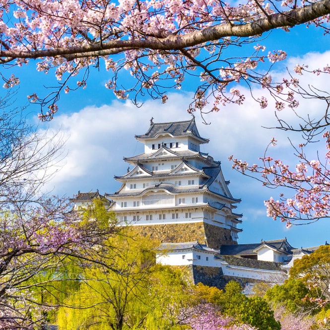 旅行商品イメージ7